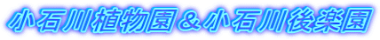 小石川植物園＆小石川後楽園