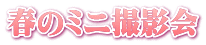 春のミニ撮影会